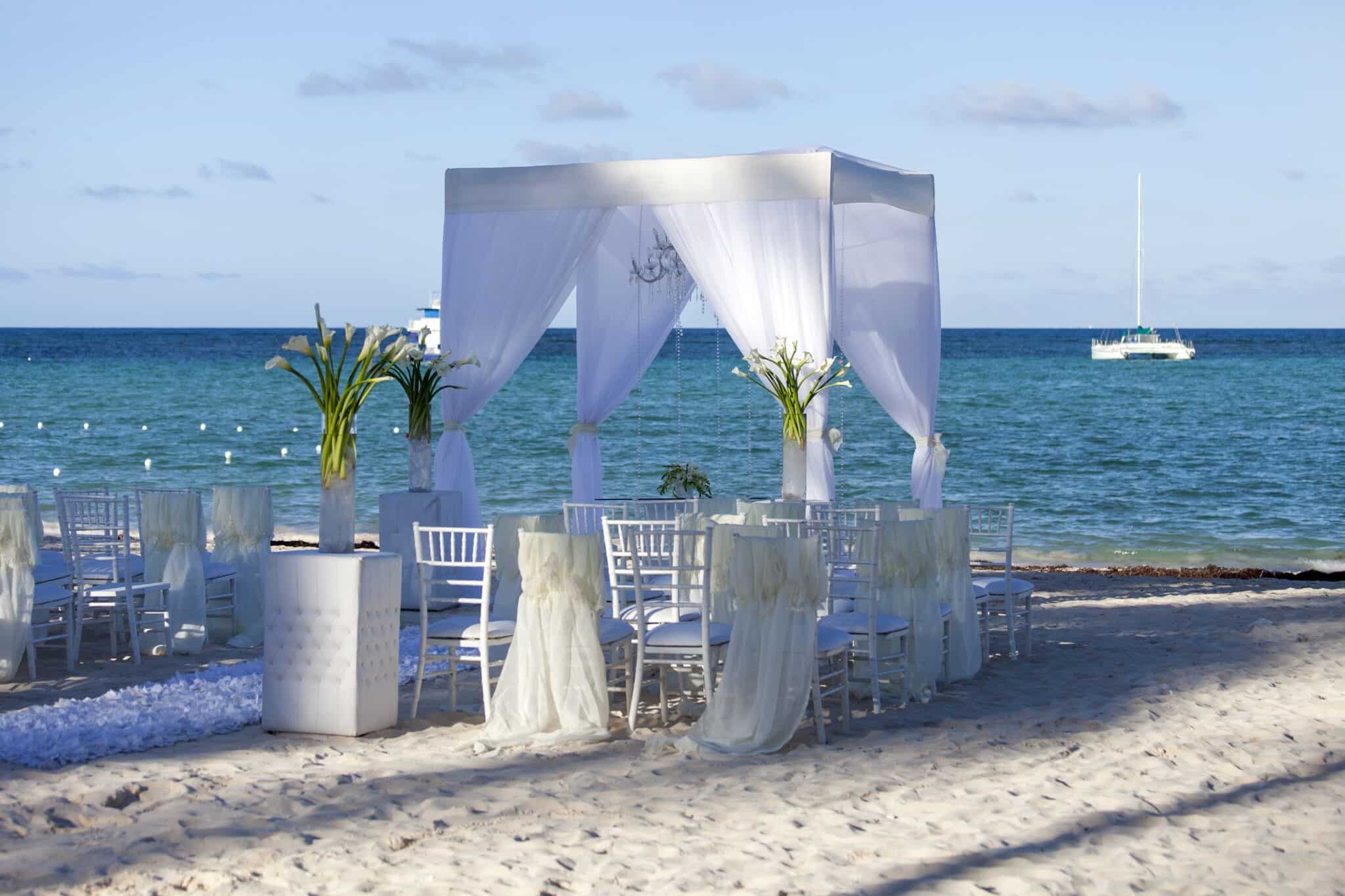 beautiful-wedding-installation-at-the-beach-2022-11-14-05-05-44-utc