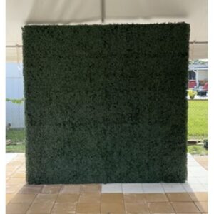 vnvevents: 8x8 Square Grass Wall