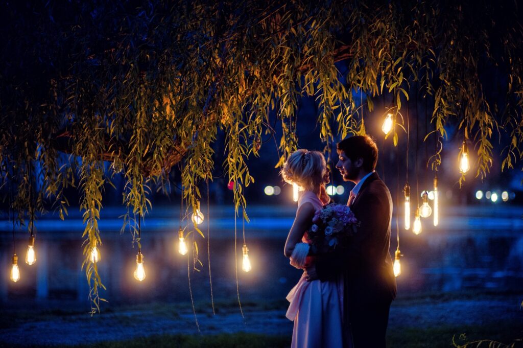 VNV fairy lights wedding ideas-1