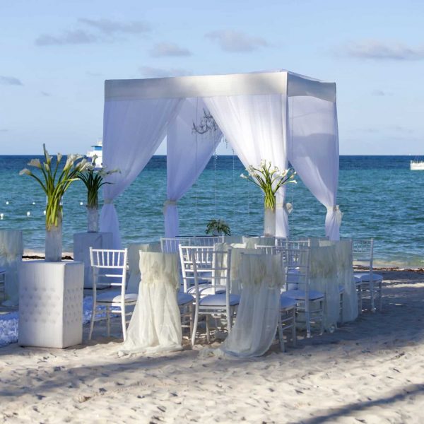 beautiful-wedding-installation-at-the-beach-2022-11-14-05-05-44-utc