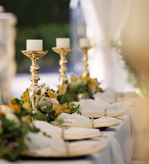 VNV events: all inclusive wedding packages in florida under $5000-portada 2 VNV events: all inclusive wedding packages in florida under $5000-portada 2