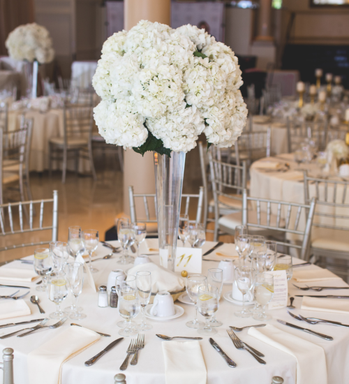 VNV Events: wedding invite-img 1583 VNV Events: wedding invite-img 1583