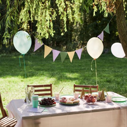 VNV Events: baby shower party planner -img 128